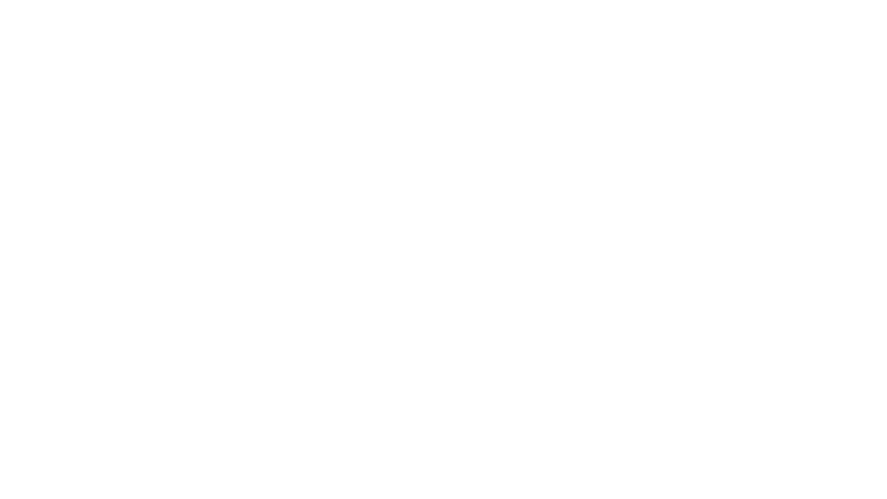 Japan Airlines