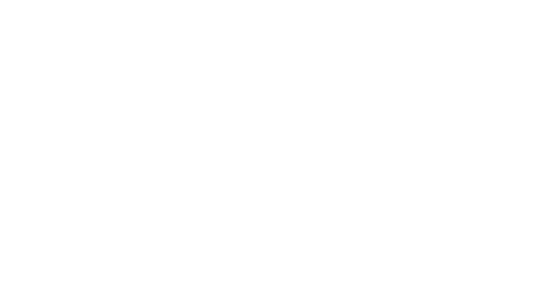 United Airlines