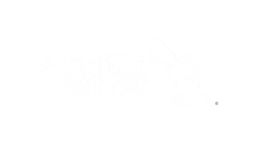 American Airlines